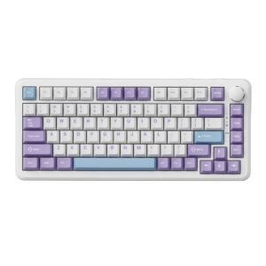 import placeholder for 15475461