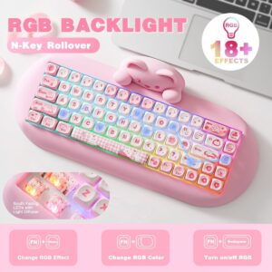 import placeholder for 15475469
