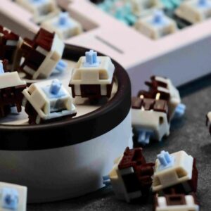 import placeholder for 15474577