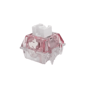 import placeholder for 15474578