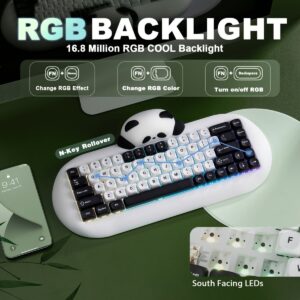 import placeholder for 15475467